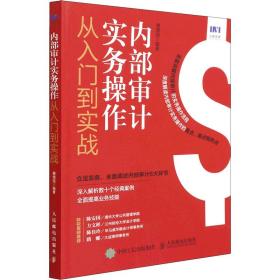 内部审计实务操作从入门到实战