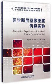 医学断层图像重建仿真实验