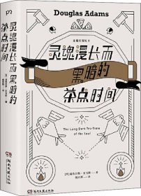 灵魂漫长而黑暗的茶点时间（作家道格拉斯·亚当斯另一经典《全能侦探社》系列第二部）【浦睿文化出品】