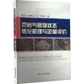 页岩气赋存状态转化机理与定量评价