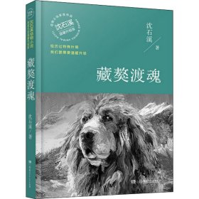 藏獒渡魂（温暖升级版）/动物小说大王沈石溪·经典获奖作品