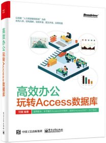 高效办公：玩转Access数据库