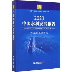 2020中国水利发展报告