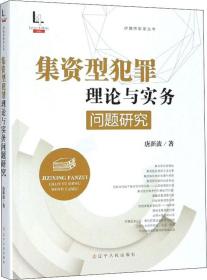 集资型犯罪理论与实务问题研究/律媒桥智库丛书