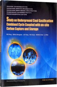 地下煤气化联合循环及就地二氧化碳捕集封存技术研究 裴鹏 等 著新华文轩网络书店 正版图书