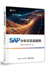 SAP分析云实战指南 智扬信达大数据工作室 著 新华文轩网络书店 正版图书