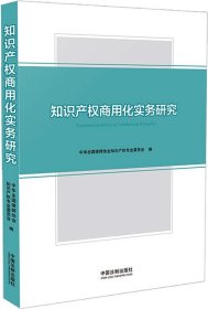 知识产权商用化实务研究