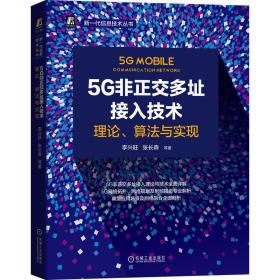 5G非正交多址接入技术：理论、算法与实现