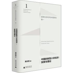 中国的新型小农经济：实践与理论（实践社会科学与中国研究·卷一）