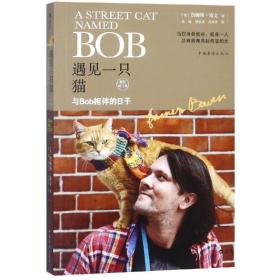 遇见一只猫:与Bob相伴的日子