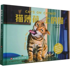 猫薄荷上的猫