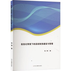 信息化背景下的高校财务建设与管理 张菊 著 新华文轩网络书店 正版图书