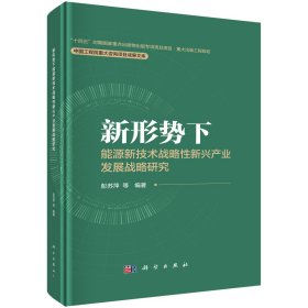 新形势下能源新技术战略性新兴产业发展战略研究 彭苏萍 等 编新华文轩网络书店 正版图书