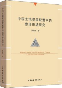 中国土地资源配置中的隐形市场研究