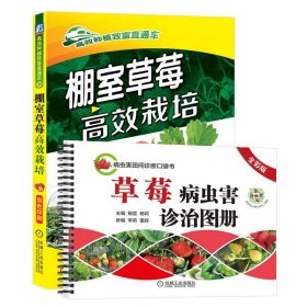 电商套装-全两册棚室草莓高效栽培+草莓病虫害诊治图册 路河、杨雷、杨莉 著 新华文轩网络书店 正版图书