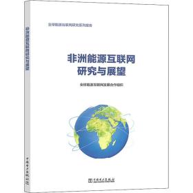 非洲能源互联网研究与展望