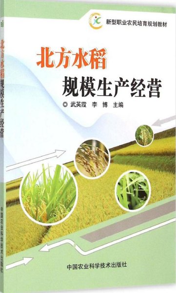 北方水稻规模生产经营