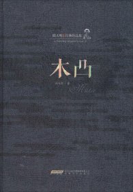 陆天明经典作品集：木凸