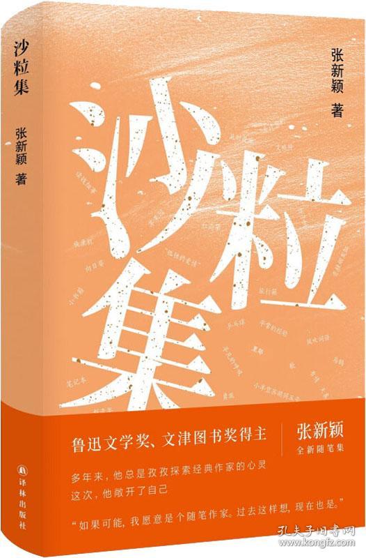 沙粒集 张新颖 著 新华文轩网络书店 正版图书