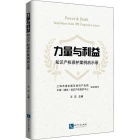 力量与利益：知识产权保护案例启示录