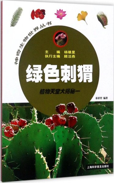 绿色刺猬——植物天堂大揭秘一