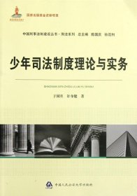 国家出版基金资助项目·中国刑事法制建设丛书·刑法系列：少年司法制度理论与实务