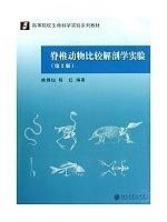 脊椎动物比较解剖学实验