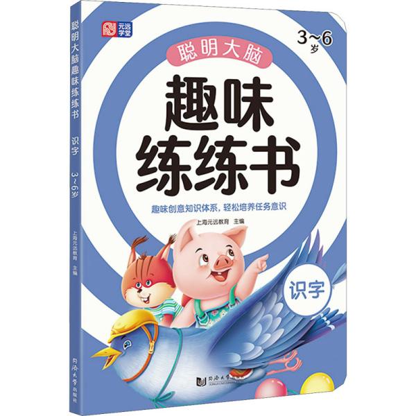 聪明大脑趣味练练书 识字 3-6岁 幼小衔接识字 入学必备 启蒙早教 趣味识字 全彩配图 轻松认知