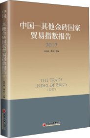 中国--其他金砖国家贸易指数报告（2017）