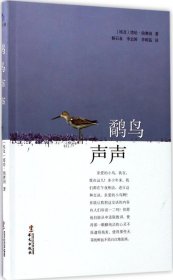 鹬鸟声声 (埃及)塔哈·侯赛因 著；杨石泉,李志国,李明茹 译 新华文轩网络书店 正版图书