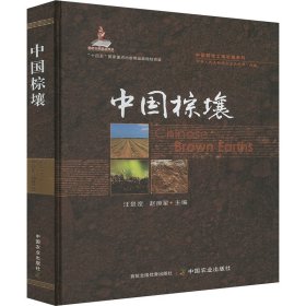 中国棕壤