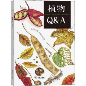植物Q&A 郑元春 著 林丽琪 绘 新华文轩网络书店 正版图书