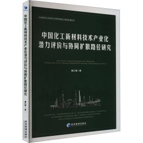 中国化工新材料技术产业化潜力评价与协同扩散路径研究 鲁汇智 著 新华文轩网络书店 正版图书