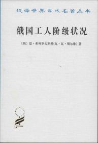 俄国工人阶级状况 恩·弗列罗夫斯基(瓦·瓦·别尔维) 著 陈瑞铭 译 新华文轩网络书店 正版图书