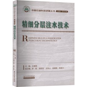 精细分层注水技术