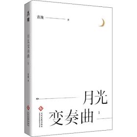 月光变奏曲（1-4套装共4册）