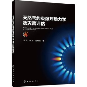 天然气约束爆炸动力学及灾害评估 庞磊,杨凯,赵焕娟 著 新华文轩网络书店 正版图书