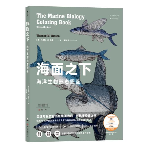 海面之下：海洋生物形态图鉴（一本可以涂色的海洋科普书）