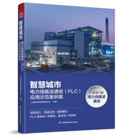 智慧城市：电力线载波通信（PLC）应用示范案例集 上海浦东智能照明联合会 著 新华文轩网络书店 正版图书