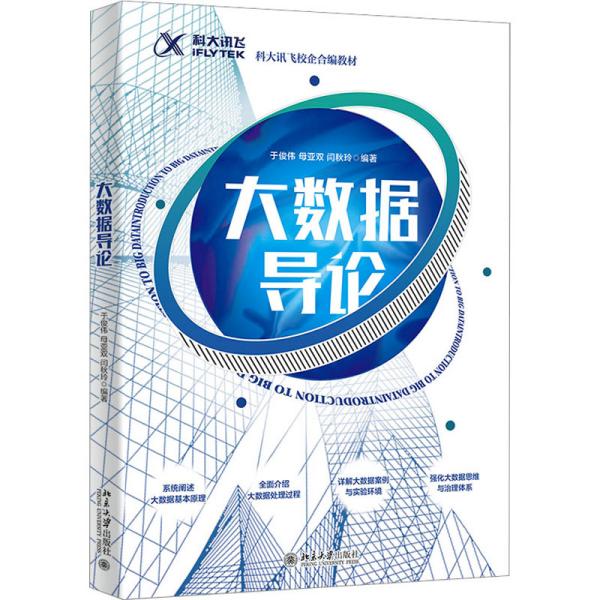 大数据导论 科大讯飞校企合编教程 全面解读大数据基础 新手入门必备