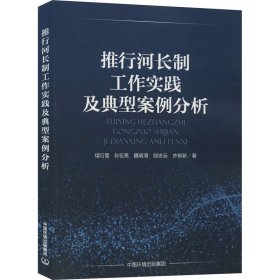 推行河长制工作实践及典型案例分析 续衍雪 等 著新华文轩网络书店 正版图书