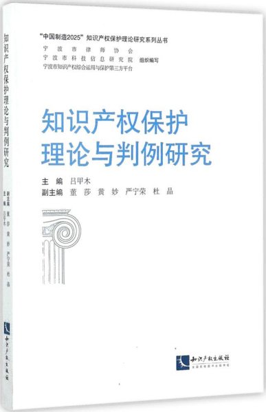 知识产权保护理论与判例研究