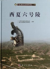 宁夏文物考古研究所丛刊（24）：西夏六号陵