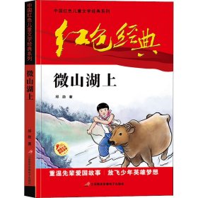 红色经典—微山湖上 中国红色儿童文学经典系列 小学生四五六年级课外书 少年励志红色经典书籍故事书 革命传统教育读本爱国