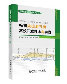 松南火山岩气田高效开发技术与实践