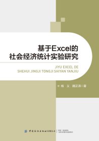 基于EXCEL的社会经济统计实验研究 杨义 著 新华文轩网络书店 正版图书