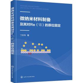 微纳米材料制备及其对Re(Ⅶ)的原位固定 丁庆伟 著新华文轩网络书店 正版图书