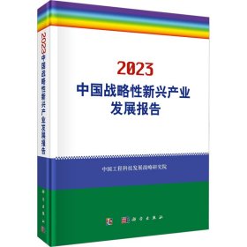 2023中国战略性新兴产业发展报告