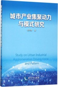 城市产业集聚动力与模式研究