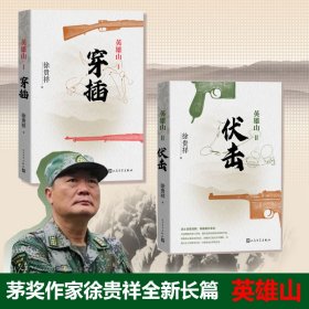 英雄山套装穿插+伏击 徐贵祥 著 新华文轩网络书店 正版图书